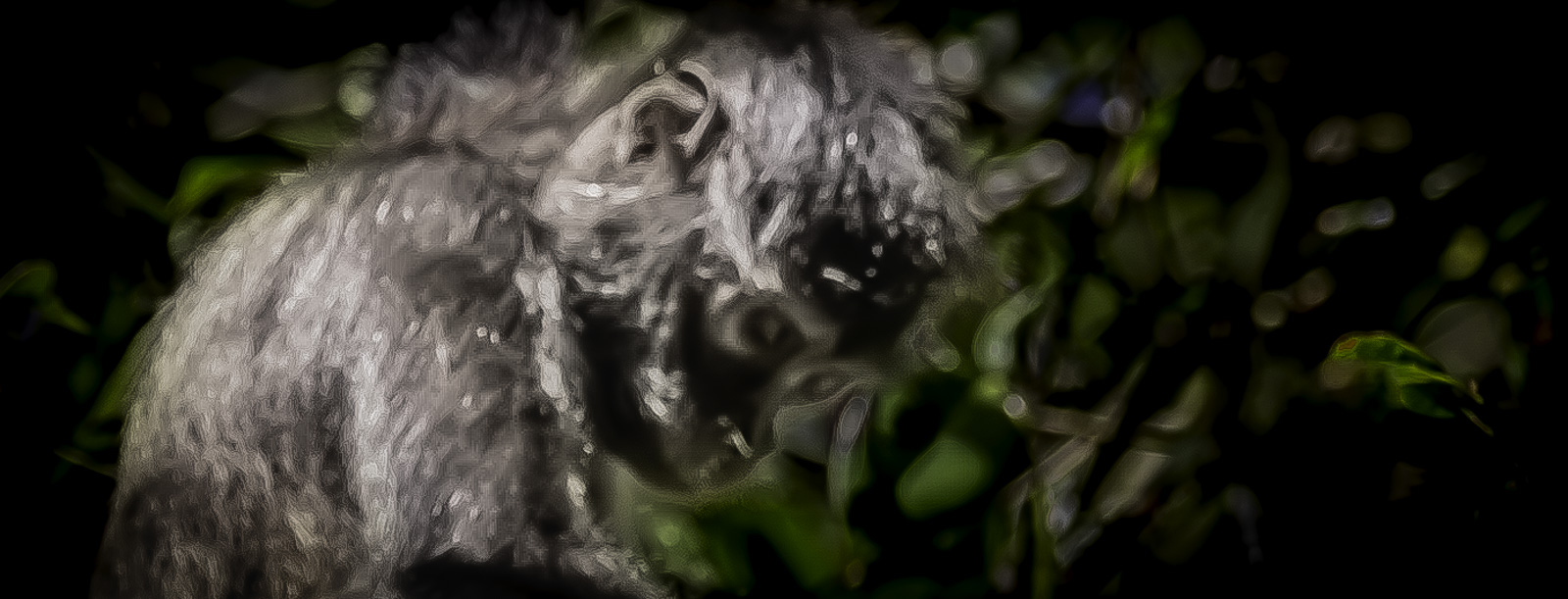 baby monkey taking a bowing moment with eyes closed